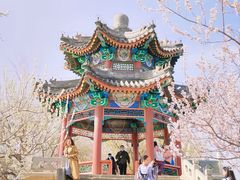 -颐和园-景明楼