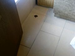 -淮安曙光国际大酒店(大运河广场花街店)