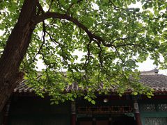 -张学良旧居陈列馆