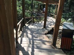 -大岭沟猕猴桃谷风景区