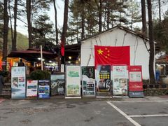 -小小饭店·休闲农庄·安吉松树林里的农家菜