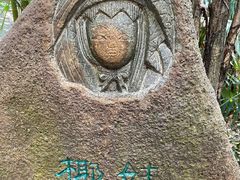 -呀诺达热带雨林