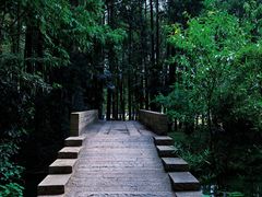 -同里国家湿地公园