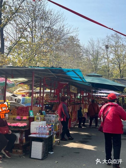 潭柘寺景区图片