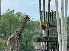 -哈尔滨北方森林动物园