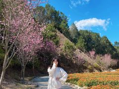 -广州市流溪河国家森林公园