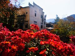 -篁岭景区
