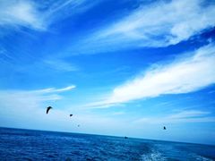 -海驴岛(荣成市)