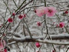 -大蜀山国家森林公园
