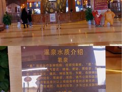 -咸宁万豪温泉谷度假区