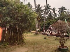 -东郊椰林