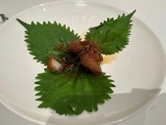 -西郊5号·Maggie 5