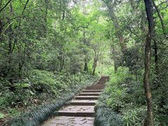 -杭州半山国家森林公园