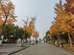 -廊坊文化艺术中心