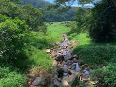 -东莞市大岭山森林公园