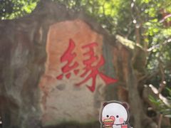 -杭州黄龙洞