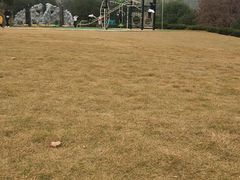 -龙寺生态园