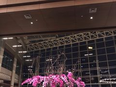 -上海外滩茂悦大酒店