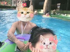 -重庆海昌加勒比海水世界