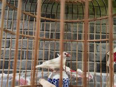 -常赢三兄弟·清真涮肉·清真炒菜(朝阳新城店)