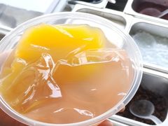 -四川农业大学(雅安校区)