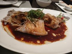 -成都尼依格罗酒店