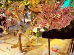 -酷嗒动物文化乐园(cutezoo西溪乐天城店)