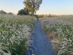 -汉长安城未央宫国家考古遗址公园