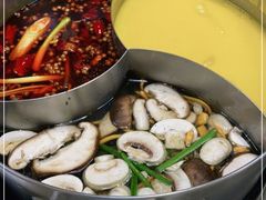 -青瓷火锅料理(西单大悦城店)