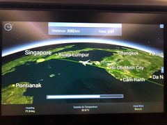 -新加坡航空公司(ION)