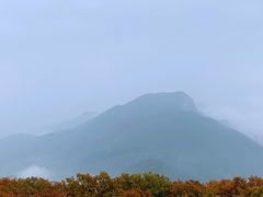 -白草畔自然风景区