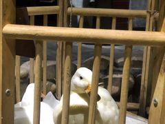 -馬蘭花開(车站大道店)