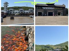 -桃花岛风景旅游区