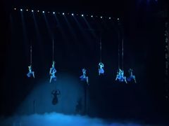 -水秀国际大剧院