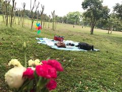 -福建鲤鱼洲酒店