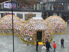 -Apple零售店(成都太古里店)