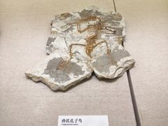 -衢州市博物馆