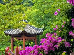 -云溪植物园