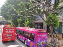 -广州都市观光巴士(粤陶巴)