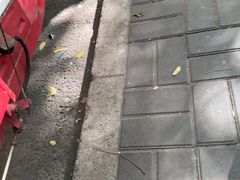 -悦融琥珀·京鲁菜·海味珍品(西单店)
