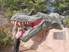 -青岛方特梦幻王国