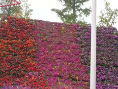 -重庆市江北嘴中央商务区中央公园