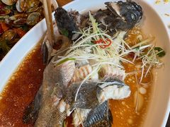 -小渔船渔家传统菜(鲅鱼圈店)