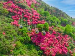 -木兰云雾山