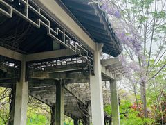 -南京市江宁方山