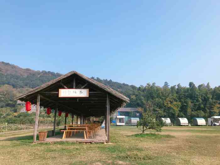 踏青农庄-"打的20元到龙头渚风景区玩,不开放,沿着."-大众点评移动版