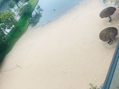 -上海佘山世茂艾美酒店