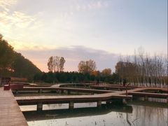 -东郊湿地公园