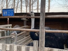 -呀路古热带植物园