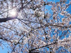 -西北湖绿化广场